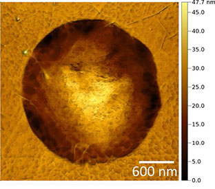 AFSEM image of freestanding graphene membranes obtained in intermittent contact mode. (Figure 2) High-resolution AFM image of a single freestanding graphene membrane.